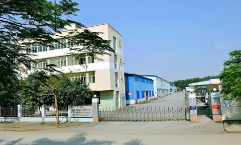 Một doanh nghiệp Nhà nước bất ngờ lãi kỷ lục nhờ cổ tức