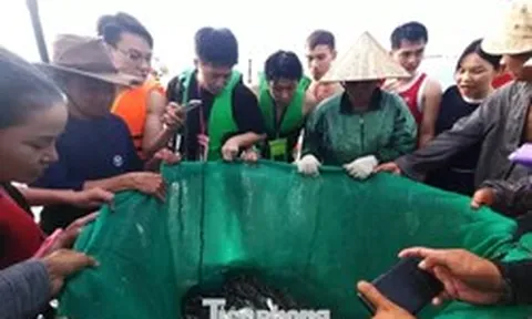Đà Nẵng: Du khách kéo nhau 'đột nhập' chợ cá lúc rạng sáng