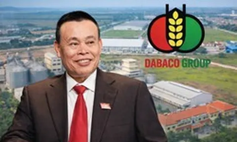 Lợi nhuận giảm 43%: Chuyện gì đang xảy ra với Dabaco của đại gia Nguyễn Như So?