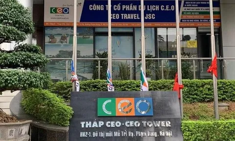 CEO Group báo lãi tăng song dòng tiền kinh doanh tiếp tục âm