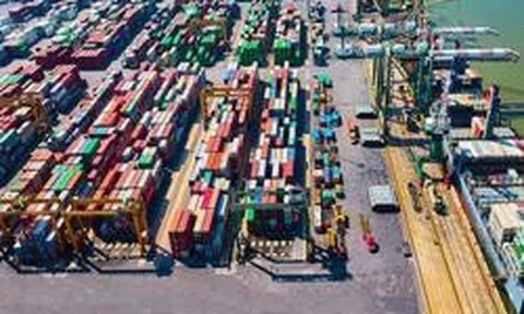 Viconship sắp “bỏ túi” gần 90 tỷ đồng cổ tức từ Cảng Xanh Vip
