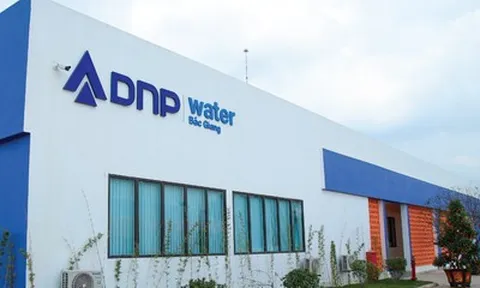 DNP Holding tăng gần gấp đôi lợi nhuận sau thuế, áp lực lãi vay gần 190 tỷ đồng mỗi quý