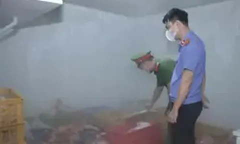 Hưng Yên: Phát hiện gần 1 tấn thịt lợn nhiễm dịch tả lợn châu Phi tại cơ sở sơ chế