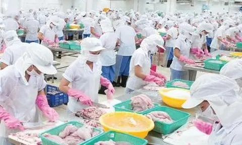 Doanh thu "bốc hơi" 74%, Thủy sản Mekong vẫn báo lãi gấp 3 lần cùng kỳ