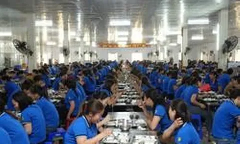 Công ty may có quỹ phúc lợi 174 tỷ đồng cho gần 1.700 nhân viên: Nhận trẻ từ 12 tháng tuổi, miễn học phí, hỗ trợ nửa tiền ăn