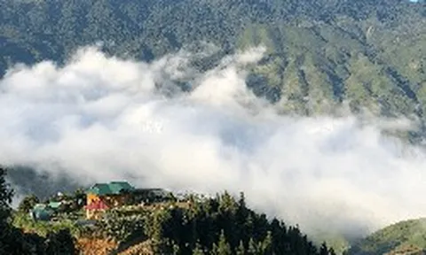 Không phải Sa Pa, Việt Nam có 1 "thiên đường mây" vừa được "Oscar của ngành du lịch" đề cử giải thưởng, sở hữu khí hậu mát mẻ ở độ cao hơn 1.500 m