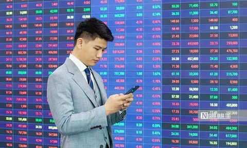 Thị trường thiếu động lực bứt phá, nghiêng về kịch bản tích lũy