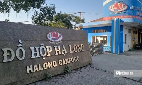 Sau vụ 130 tấn heo nhiễm dịch, Đồ hộp Hạ Long tiếp tục chìm trong thua lỗ