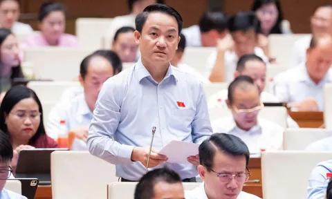 ĐBQH: Mở rộng hoạt động ngân hàng cần phòng ngừa việc 'bia kèm lạc'