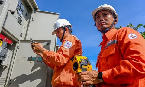 Doanh thu EVN lớn hơn Vingroup và Hòa Phát cộng lại