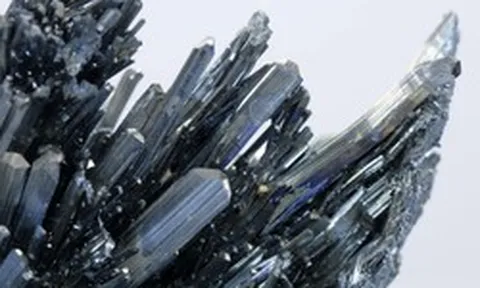 Một doanh nghiệp chốt ngày trả cổ tức tiền mặt tỷ lệ 50% ngay tháng này