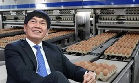 Cổ phiếu HPA giảm 24% sau 6 tháng lên sàn, liên tục dò đáy mới