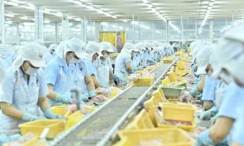 3 lần gom cổ phiếu ANV, lãnh đạo Nam Việt nâng sở hữu lên 1,18%