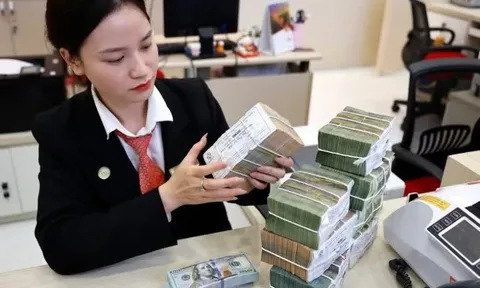 Tiền gửi của người dân đạt 11,068 triệu tỷ đồng, lập kỷ lục mới