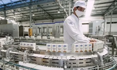 Mùa lợi nhuận khởi sắc của doanh nghiệp ngành sữa