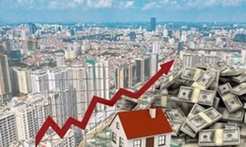 VARS: “Kiểm soát tín dụng theo cách cào bằng sẽ làm mất đi động lực tăng trưởng bền vững cho thị trường bất động sản”