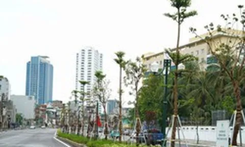 Đề xuất phương án lưu thông trên đường Vành đai 1, đoạn Hoàng Cầu - Voi Phục