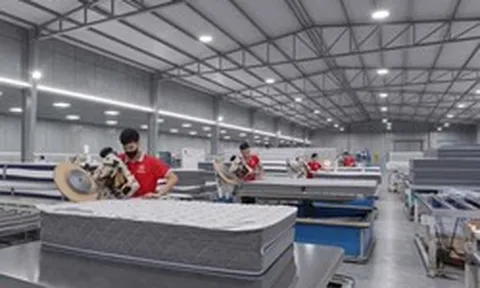 Tăng 60% sau 2 phiên, vốn hóa gấp đôi chủ thương hiệu Everon, doanh nghiệp chăn ga gối đệm vừa lên sàn đang sở hữu những gì?