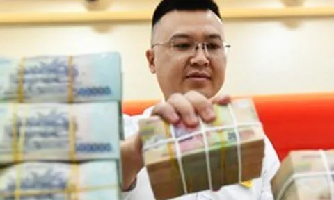 Lãi suất ngân hàng 19/8 tại Agribank, Vietcombank, BIDV, VietinBank, MB, Sacombank, HDBank,...