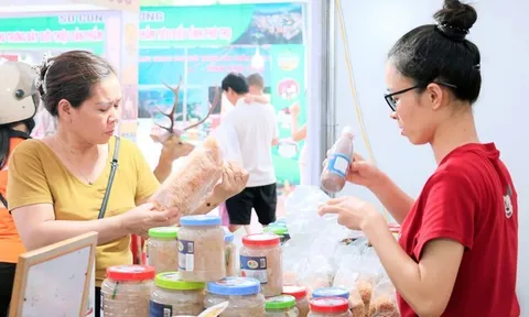 Kết nối thị trường, nâng giá trị gia tăng cho sản phẩm công nghiệp nông thôn