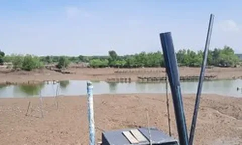 Nhiều doanh nghiệp bị thu hồi đất vì không đưa vào sử dụng
