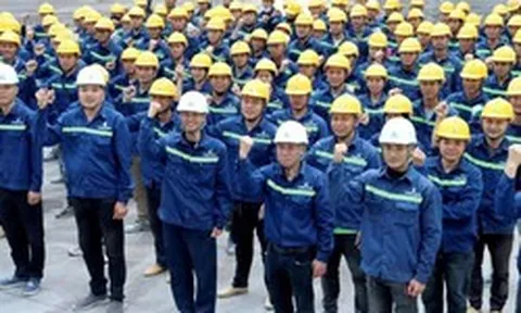 CEO VinCons tiết lộ 100.000 công nhân tuyển mới từ vùng nông thôn, miền núi, không lấy của doanh nghiệp khác