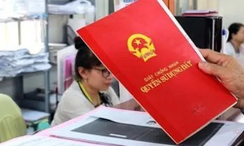 Ngân hàng “khóc ròng” với tài sản thế chấp: Cho vay 1,3 tỷ nhưng thực tế thửa đất được giao dịch 500 triệu đồng