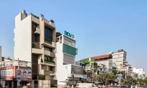 Nhà phố 7 tầng ngập tràn ánh sáng và cây xanh