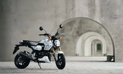 Honda MSX GROM 2027 tung bản rằn ri độc lạ khiến dân chơi xe côn tay tí hon phát sốt