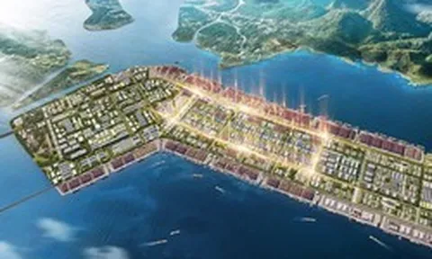 Một doanh nghiệp chuẩn bị làm 4 bến cảng 45.000 tỷ đồng tại Hải Phòng, khởi công ngay trong năm nay