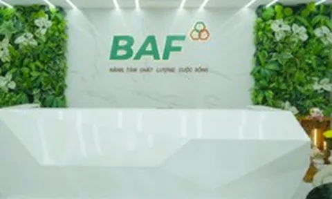 BAF Việt Nam bổ nhiệm Phó Tổng Giám đốc