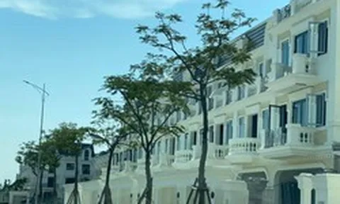 Hà Nội đề xuất chấm dứt 7 dự án chậm triển khai
