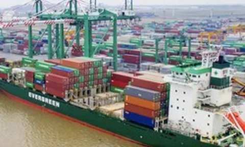 Viconship muốn vay 2.200 tỷ đồng từ các công ty con