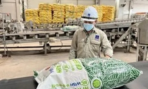 Một doanh nghiệp sắp trả cổ tức tiền mặt 14% trong tháng sau