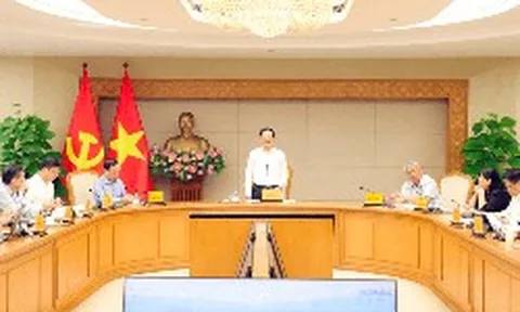 Dự thảo Luật Đất đai (sửa đổi): Nghiên cứu thuế chống đầu cơ và bỏ hoang đất