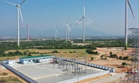 Hà Đô nhận chuyển nhượng cổ phần Điện gió Bình Gia từ 2 lãnh đạo