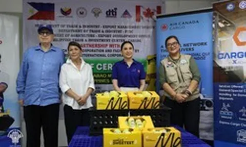 Hàng xóm Việt Nam lần đầu đưa ‘vua của các loại trái cây’ sang Canada: 1 tấn hàng mở đường cho nông sản giá trị cao