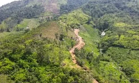 Chủ tịch tỉnh Gia Lai chỉ đạo thanh tra vụ không biết chữ nhưng ‘đứng đơn’ xin 60 ha đất trồng rừng