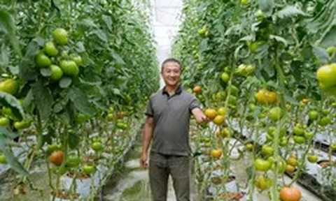Những mô hình nông nghiệp tiền tỷ được gây dựng từ chính lợi thế quê hương