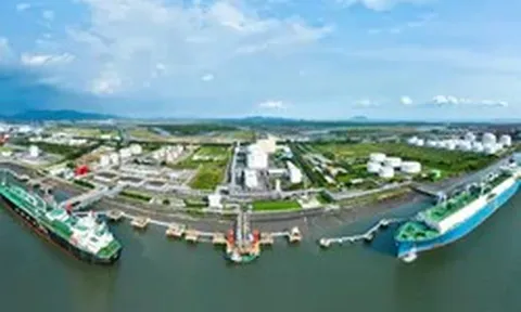 Vì sao chỉ hơn 100 doanh nghiệp 'sống khỏe' trong 10 năm biến động?