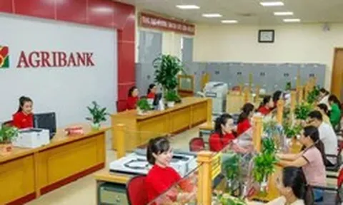 Ngân hàng rao bán nợ của doanh nghiệp từng mang tên Nghệ sĩ Quyền Linh