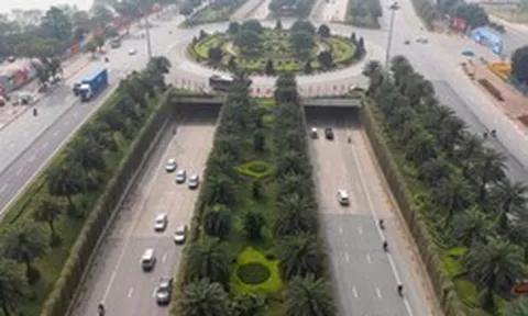 Hà Nội dự kiến trồng cây phủ xanh trụ đường sắt, cầu vượt và hầm chui