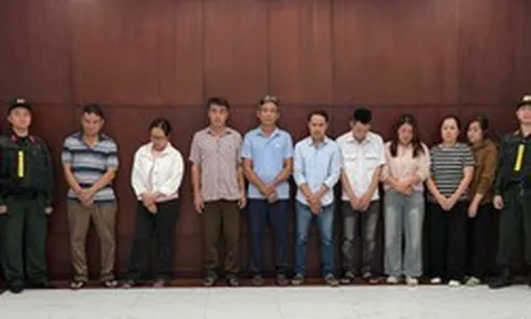 TPHCM: Khởi tố đường dây đưa hơn 10.000 tấn heo sử dụng chất cấm ra thị trường