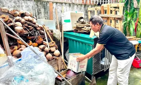 Ca sốt xuất huyết giảm, ổ dịch vẫn tăng: Hà Nội cảnh báo nguy cơ trong cao điểm