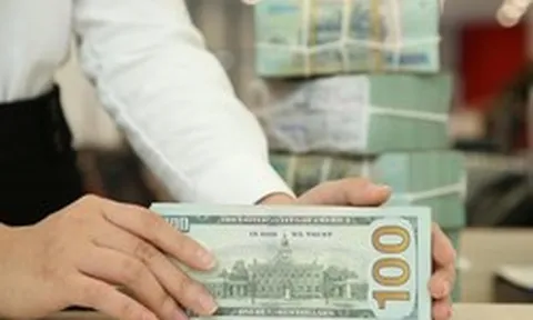 Các ngân hàng Việt Nam huy động vốn nước ngoài nhiều chưa từng thấy: Đâu là nguyên nhân?