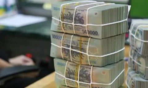 Một công ty bảo hiểm nhân thọ mang hơn 182.000 tỷ đồng đầu tư cổ phiếu, trái phiếu và gửi ngân hàng