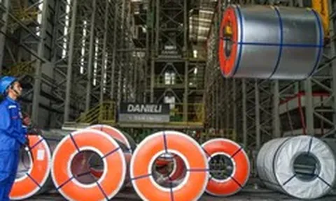Doanh nghiệp đối mặt sức ép phí carbon