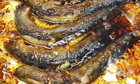Loại cá thế giới ví như "sâm nước", hóa ra chợ Việt bán đầy