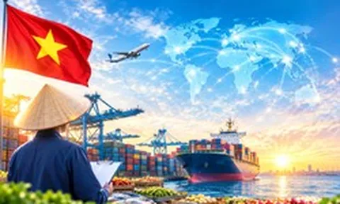 Một sản vật Việt Nam chinh phục 112 thị trường: Mỹ là “át chủ bài”, Nga bất ngờ nổi lên thành điểm sáng