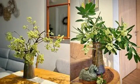 Trend hoa sữa hot nhất năm nay: 20/10 nhiều người xin hoa về cắm cho... thơm